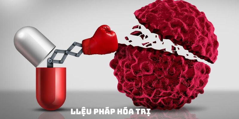 Liệu Pháp Hóa Trị