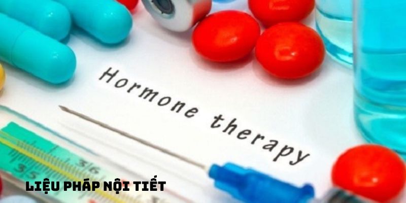 Liệu pháp nội tiết tố trong việc điều trị ung thư